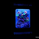 Image for article titled This Xbox 360 Sleeps with the Fishes. No, Really.